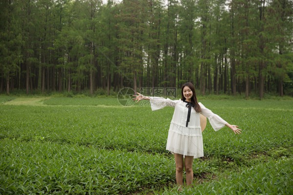 武汉火车站旁,泡一壶茶,让心灵邂逅美景 武汉火车站旁,泡一壶茶,让心灵邂逅美景